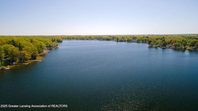 6391 Lakeshore Dr, Lakeview, MI 48850 - water view featuring a heavily wooded area