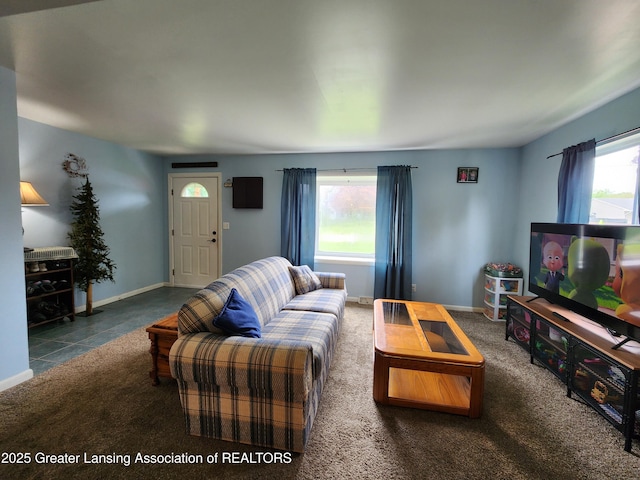 136 N Chestnut St, Owosso, MI 48867 - carpeted living room featuring baseboards
