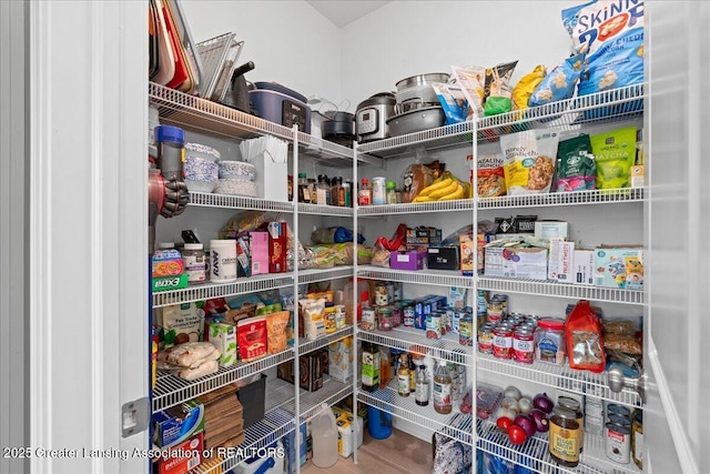 4150 Stillbrook Ln, Dewitt, MI 48820 - view of pantry