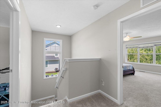 4150 Stillbrook Ln, Dewitt, MI 48820 - hall featuring an upstairs landing, carpet floors, a textured ceiling, and baseboards
