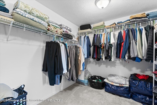 4150 Stillbrook Ln, Dewitt, MI 48820 - spacious closet with carpet floors