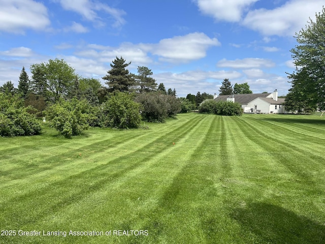 7436 Creekside Dr Unit 10, Lansing, MI 48917 - view of green lawn