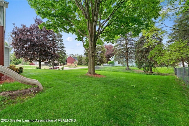 3720 Lott Ave, Holt, MI 48842 - view of yard