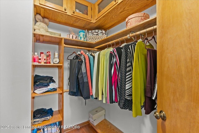 3720 Lott Ave, Holt, MI 48842 - spacious closet with wood finished floors