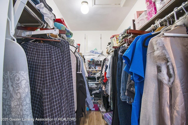 3733 Colchester Rd, Lansing, MI 48906 - walk in closet featuring wood finished floors and attic access