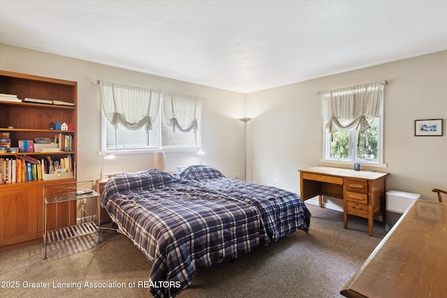 1435 Epley Rd, Williamston, MI 48895 - view of carpeted bedroom