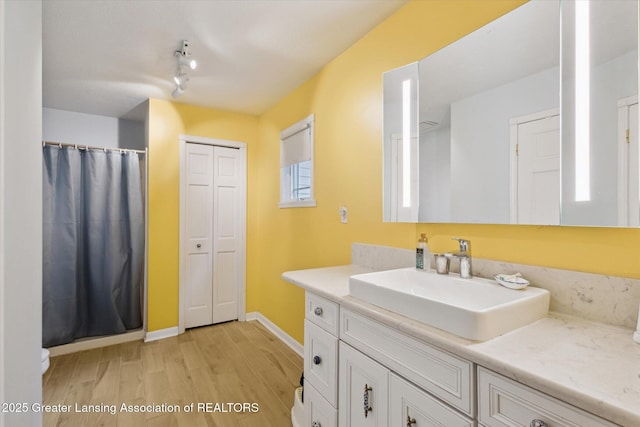 1435 Epley Rd, Williamston, MI 48895 - full bathroom featuring vanity, wood finished floors, baseboards, curtained shower, and track lighting