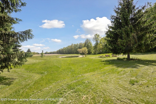 1435 Epley Rd, Williamston, MI 48895 - view of green lawn