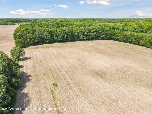 1435 Epley Rd, Williamston, MI 48895 - aerial view of a forest