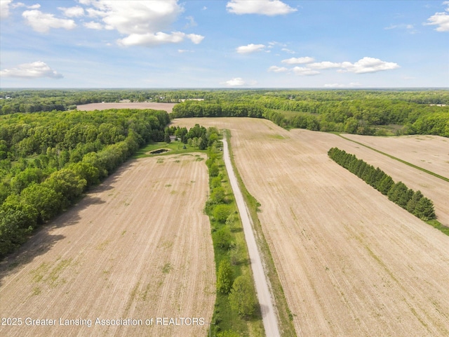 1435 Epley Rd, Williamston, MI 48895 - overview of rural landscape featuring a heavily wooded area