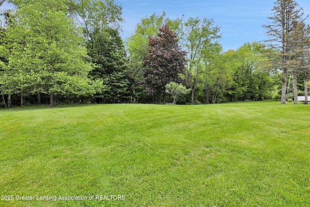 847 N Waverly Rd, Dimondale, MI 48821 - view of grassy yard