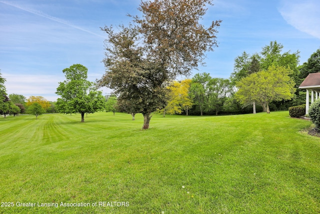 847 N Waverly Rd, Dimondale, MI 48821 - view of grassy yard featuring view of scattered trees