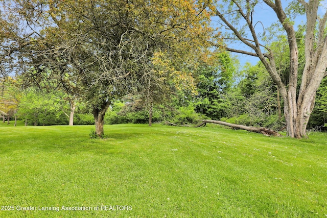 847 N Waverly Rd, Dimondale, MI 48821 - view of grassy yard