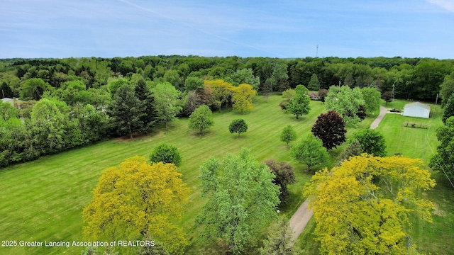 847 N Waverly Rd, Dimondale, MI 48821 - view of rural area