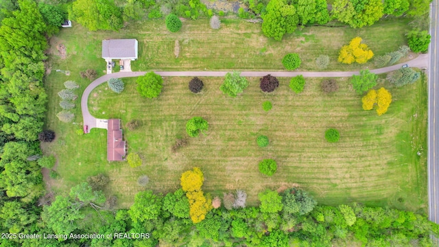 847 N Waverly Rd, Dimondale, MI 48821 - drone / aerial view