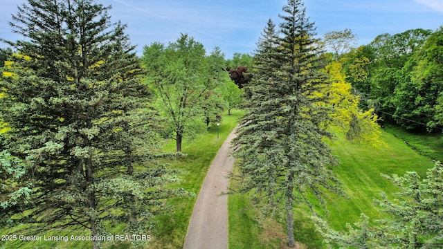 847 N Waverly Rd, Dimondale, MI 48821 - bird's eye view of a heavily wooded area