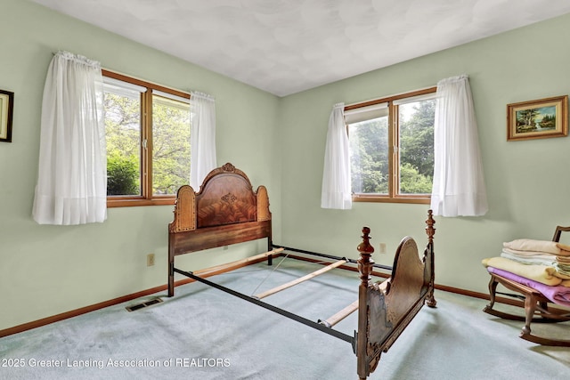 847 N Waverly Rd, Dimondale, MI 48821 - bedroom featuring multiple windows, carpet floors, and baseboards