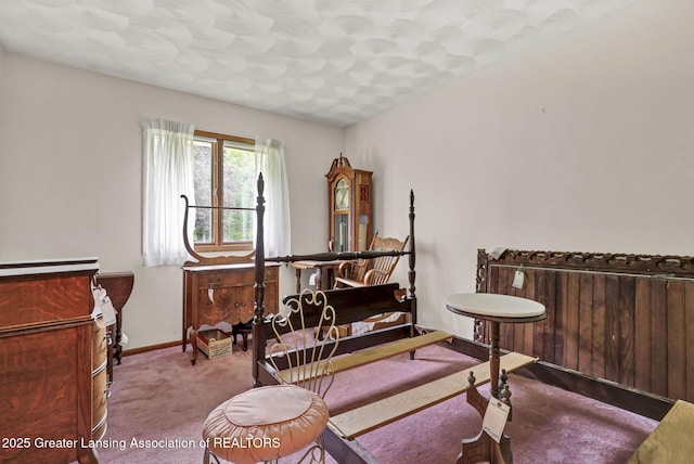 847 N Waverly Rd, Dimondale, MI 48821 - living area featuring carpet flooring and baseboards