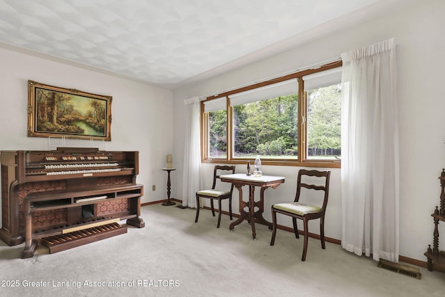 847 N Waverly Rd, Dimondale, MI 48821 - living area with carpet and baseboards