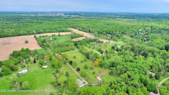 847 N Waverly Rd, Dimondale, MI 48821 - aerial view of sparsely populated area featuring a forest