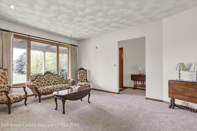 847 N Waverly Rd, Dimondale, MI 48821 - living room featuring carpet flooring and baseboards