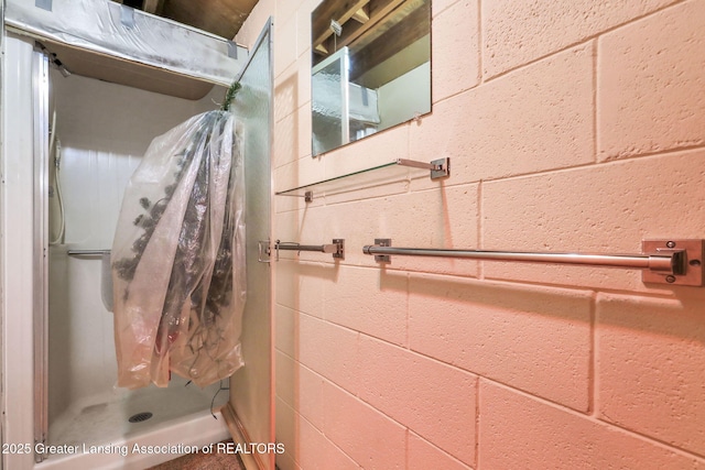847 N Waverly Rd, Dimondale, MI 48821 - bathroom with a shower stall and concrete block wall