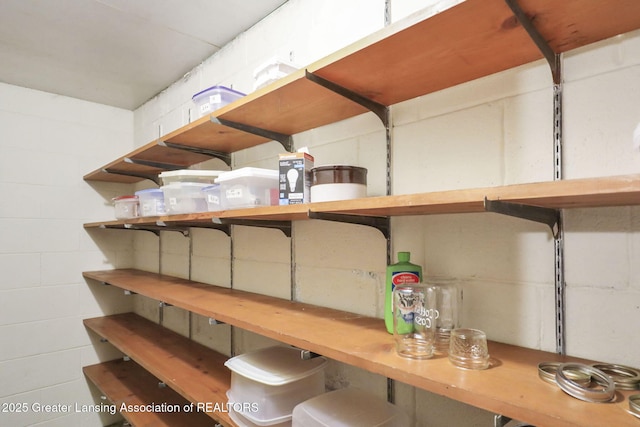 847 N Waverly Rd, Dimondale, MI 48821 - view of storage area
