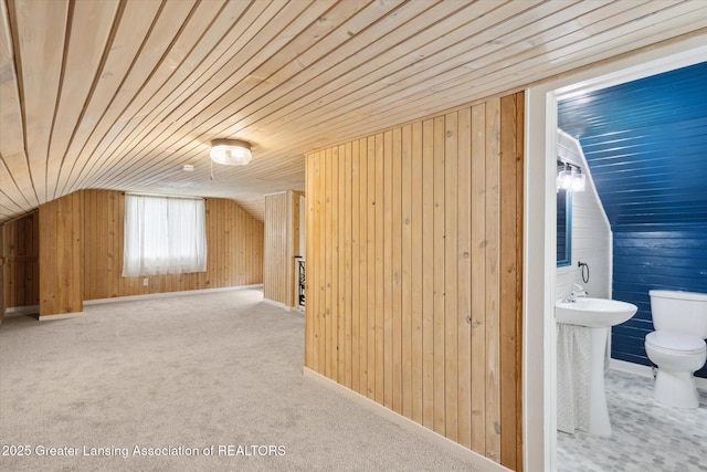 1900 Kaplan St, Lansing, MI 48917 - bonus room featuring wooden walls, vaulted ceiling, wooden ceiling, and carpet