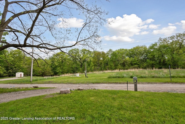 1900 Kaplan St, Lansing, MI 48917 - view of community featuring a lawn and a shed