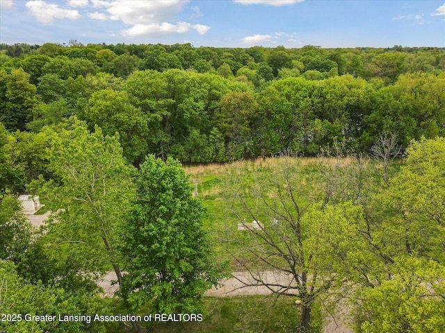 1900 Kaplan St, Lansing, MI 48917 - bird's eye view of a forest