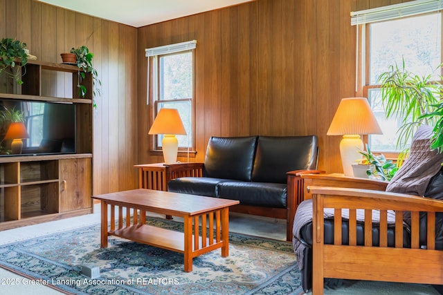 3129 Birch Row Dr, East Lansing, MI 48823 - living area with wood walls