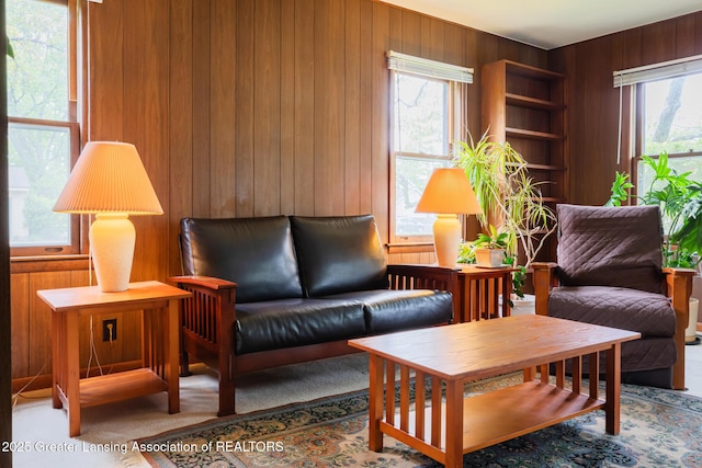 3129 Birch Row Dr, East Lansing, MI 48823 - living area with wood walls and plenty of natural light