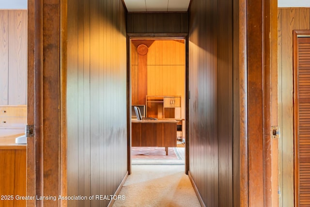 3129 Birch Row Dr, East Lansing, MI 48823 - corridor with wood walls and light colored carpet
