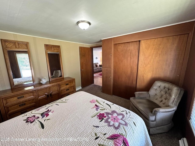 13862 Hartel Rd, Grand Ledge, MI 48837 - carpeted bedroom featuring a closet and a baseboard heating unit