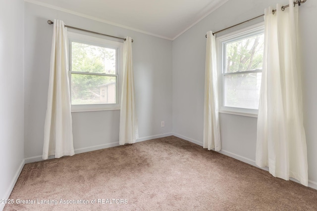 6394 Stephen, Brighton, MI 48116 - carpeted empty room with crown molding, plenty of natural light, and baseboards