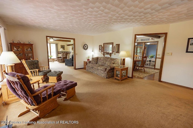 2278 Narrow Lake Rd, Charlotte, MI 48813 - living area with carpet flooring, baseboards, and a textured ceiling