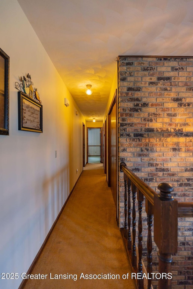 2278 Narrow Lake Rd, Charlotte, MI 48813 - hall featuring carpet floors, an upstairs landing, and baseboards