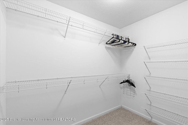 4026 Watts Ln, Lansing, MI 48911 - walk in closet with carpet flooring