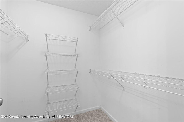 4026 Watts Ln, Lansing, MI 48911 - view of spacious closet