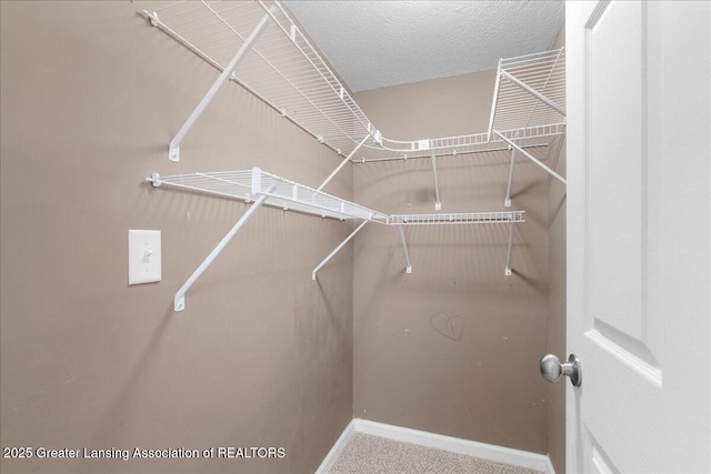4026 Watts Ln, Lansing, MI 48911 - spacious closet featuring carpet floors