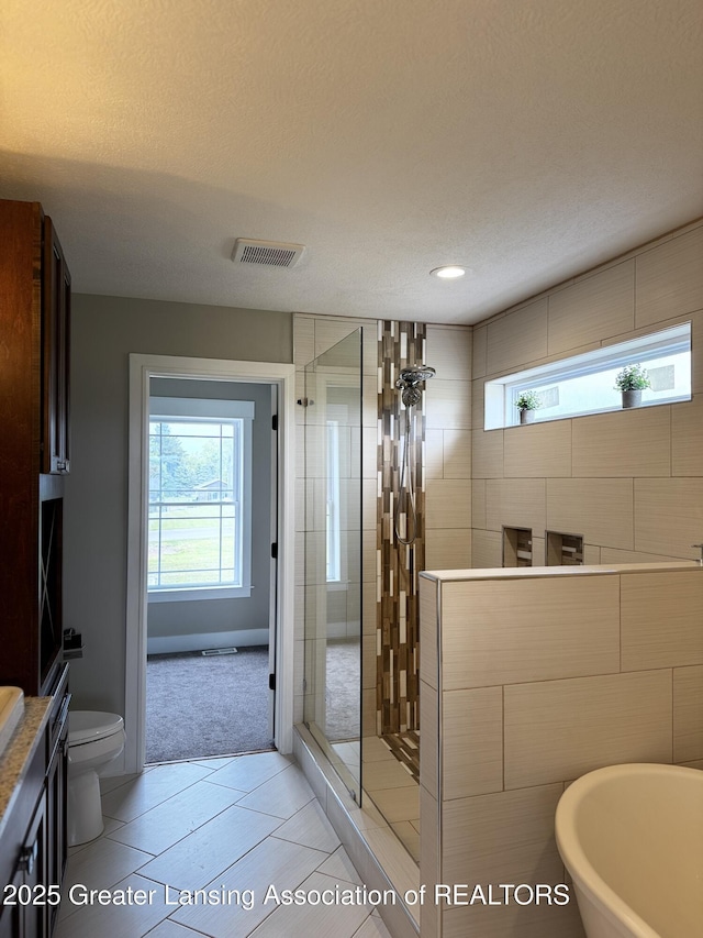 9135 Klein Farm, Grand Ledge, MI 48837 - full bathroom with a shower stall, tile patterned flooring, toilet, vanity, and a textured ceiling