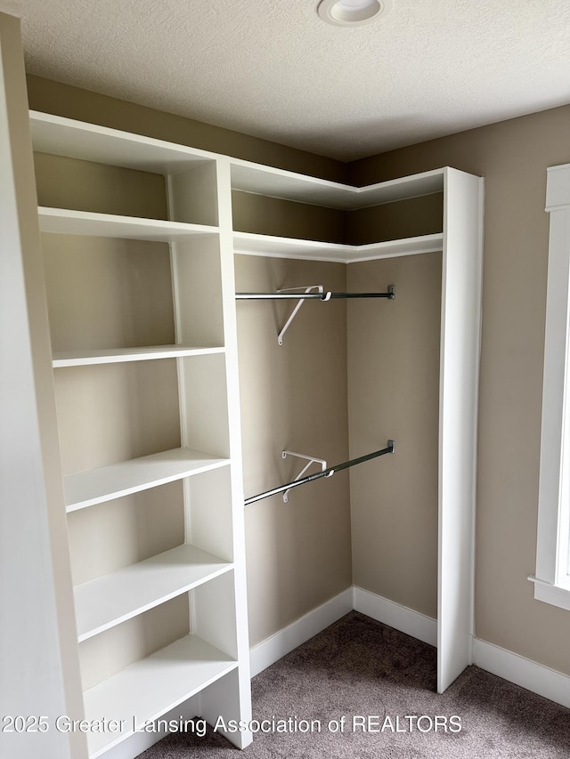 9135 Klein Farm, Grand Ledge, MI 48837 - view of closet