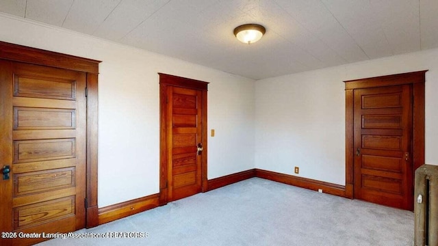 411 W Ionia St, Lansing, MI 48933 - spare room featuring carpet, baseboards, and ornamental molding