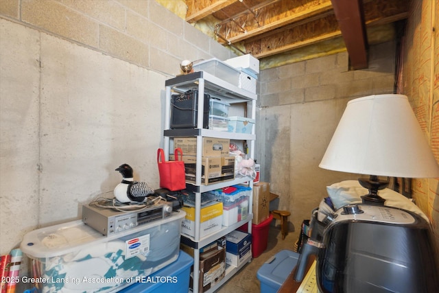 3893 E Plover Pl, East Lansing, MI 48823 - view of unfinished basement