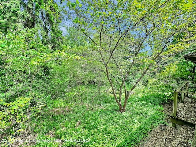 1450 N Hagadorn Rd, East Lansing, MI 48823 - view of local wilderness