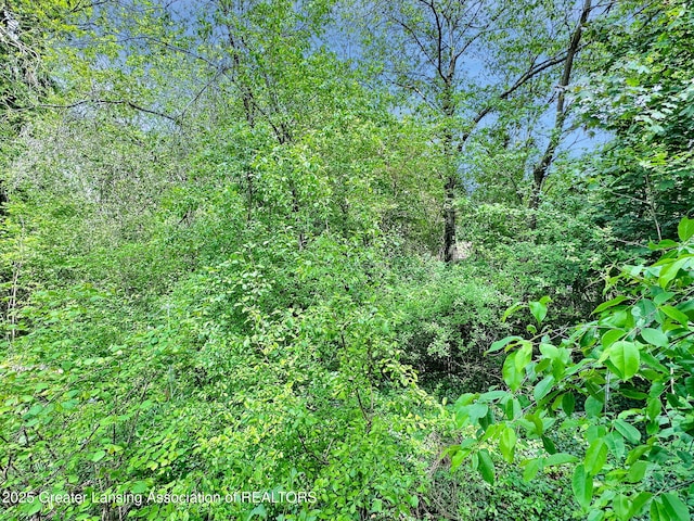 1450 N Hagadorn Rd, East Lansing, MI 48823 - view of wooded area