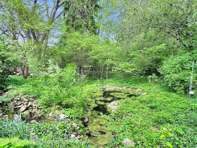1450 N Hagadorn Rd, East Lansing, MI 48823 - view of nature