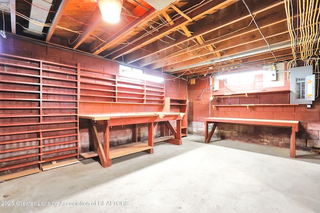 1450 N Hagadorn Rd, East Lansing, MI 48823 - basement with a workshop area and electric panel
