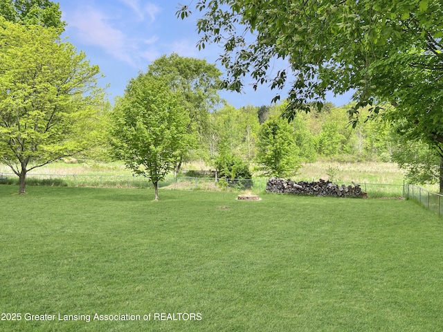 7413 E 5th Point Highway, Eaton Rapids, MI 48827 - view of yard