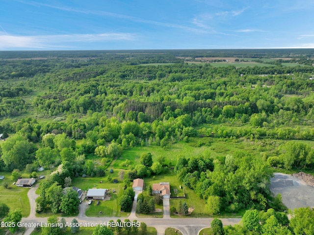 7413 E 5th Point Highway, Eaton Rapids, MI 48827 - aerial overview of property's location with a heavily wooded area